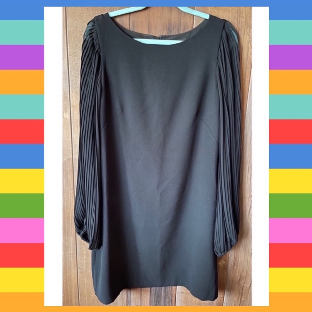 🎉HPx2🎉 WHBM Pleated Sleeve Dress.